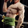 Roronoa Zoro STL 3D Print Model