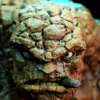 The Thing STL 3D Print Model