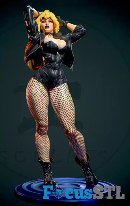 Black Canary with NSFW STL Files