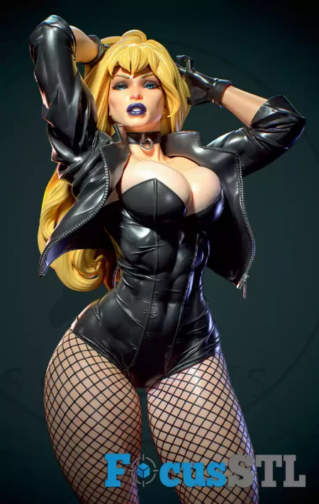 Black Canary with NSFW STL Files