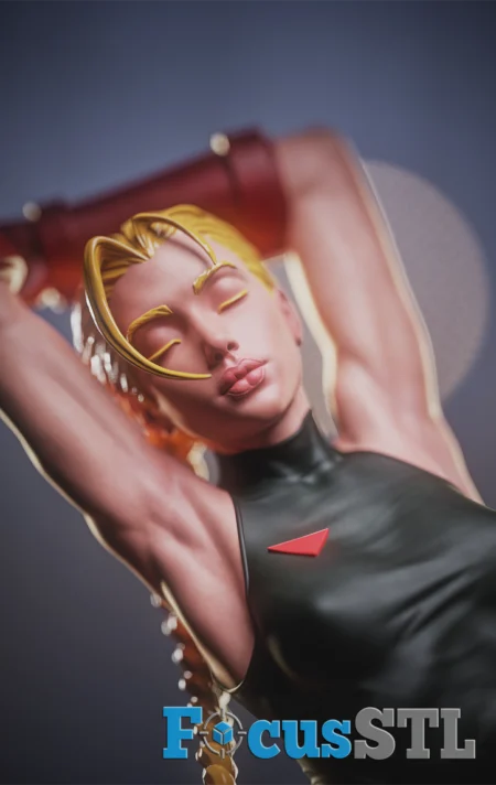 Cammy STL Files
