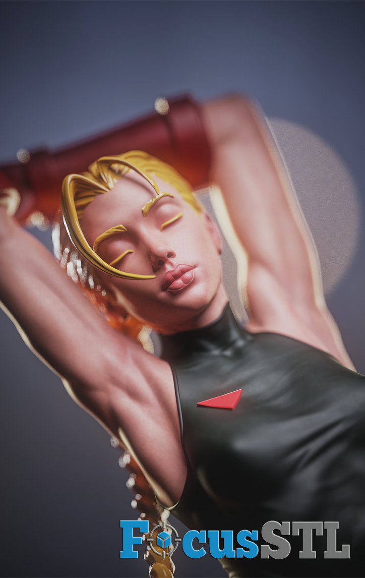 Cammy STL Files