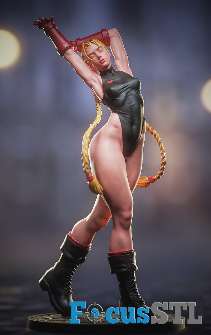Cammy STL Files