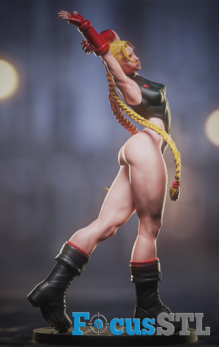 Cammy STL Files